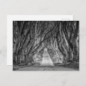 DIE DUNKEN HABEN, CO. ANTRIM, NORDIRLAND POSTKARTE (Vorne/Hinten)