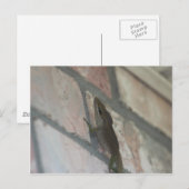 Die dunkle Eidechse Postkarte (Vorne/Hinten)