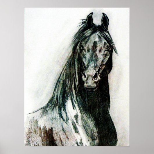 Die dunkle Schönheit Poster (Vorne)