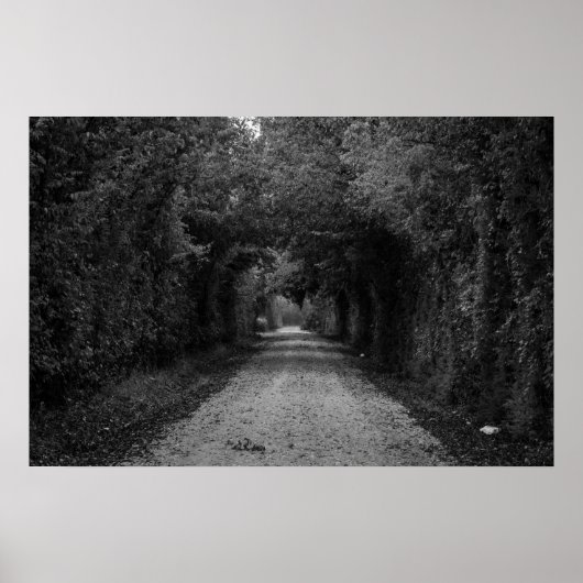 Die dunkle Straße Poster (Vorne)