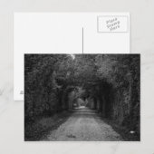 Die dunkle Straße Postkarte (Vorne/Hinten)