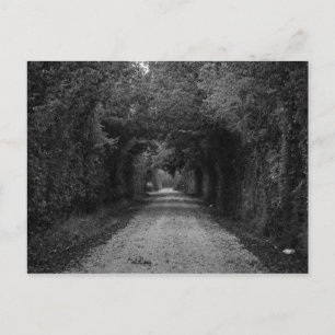 Die dunkle Straße Postkarte