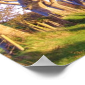 Die dunklen Hecken drucken Poster (Ecke)