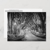 Die dunklen Hecken in Schwarz und Weiß Postkarte (Vorne/Hinten)