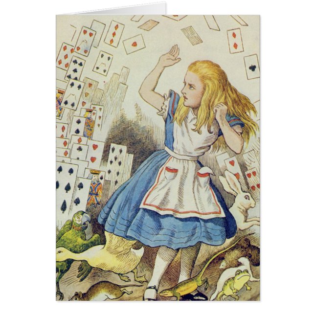 Die Dusche der Karten (Vorne)