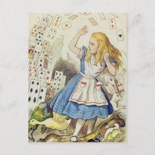 Die Dusche der Karten