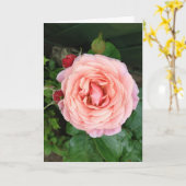 Die Dusty Springfield-Rose Karte (Gelbe Blume)