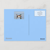 Die echte Postkarte von Florida (Rückseite)