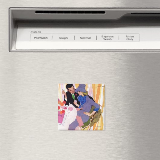 Die Ehe ist nicht für mich Magnet (In Situ (Geschirrspüler))