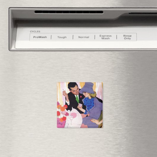 Die Ehe ist nicht für mich Magnet (In Situ (Geschirrspüler))