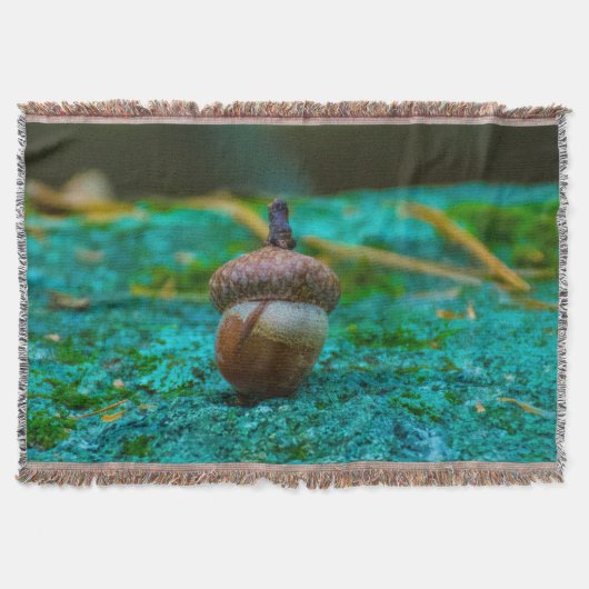 DIE EICHEL-WURFS-DECKE DECKE (Vorderseite)