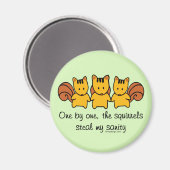 Die Eichhörnchen stehlen meinem Verstand Magnet (Vorderseite/Rückseite)
