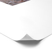 Die Eichhörnchenjagd Poster (Ecke)