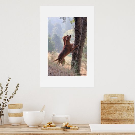 Die Eichhörnchenjagd Poster (Küche)