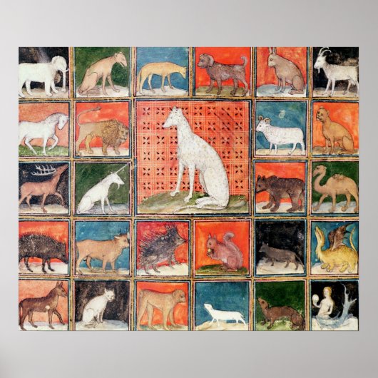 Die Eigenschaften der Tiere: Die Säugetiere Poster (Vorne)