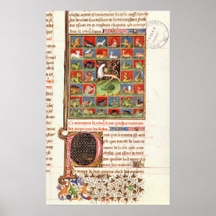 Die Eigenschaften von Tieren Poster