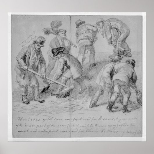 Die Einführung von Splitterrassen Poster (Vorne)