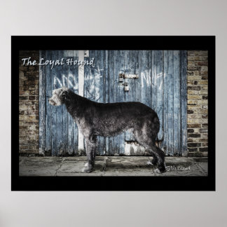 Die einladende Loyal Hound Poster