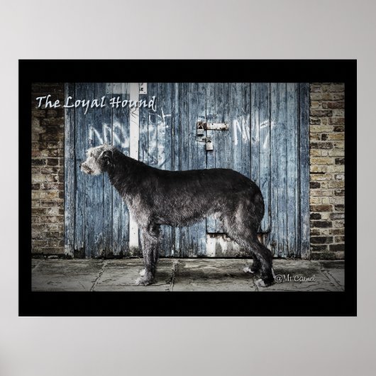 Die einladende Loyal Hound Poster (Vorne)