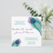 Die Einladung zur Hochzeit des klassischen Pfauens (Stehend Vorderseite)