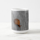 Die einsame Tasse des Schneckenkaffees (Mittel)