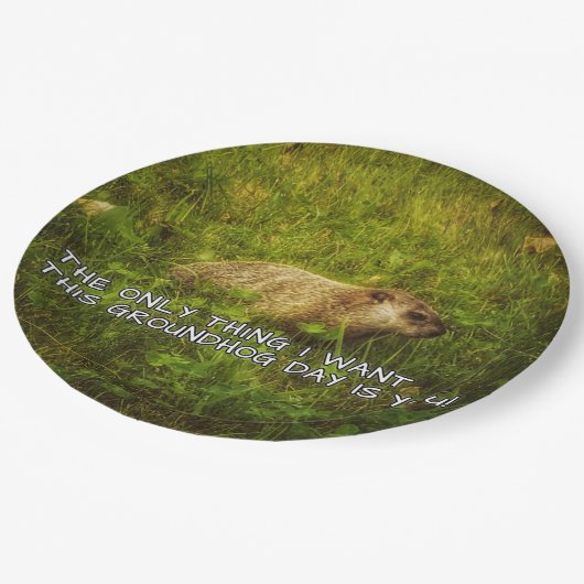 Die einzige Sache will ich dieser Groundhog Pappteller (Schrägansicht)