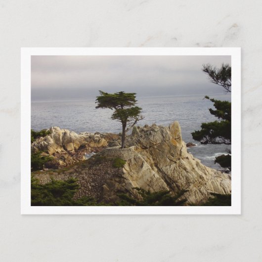 Die einzige Zypern-Postkarte Postkarte (Vorderseite)