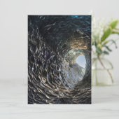 Die Eishöhle öffnet sich Karte (Stehend Vorderseite)