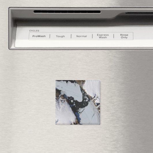 Die Eisinsel Magnet (In Situ (Geschirrspüler))