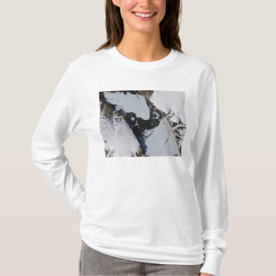 Die Eisinsel T-Shirt