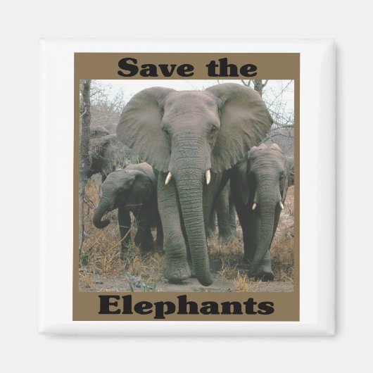 Die Elefanten gerettet Magnet (Vorne)