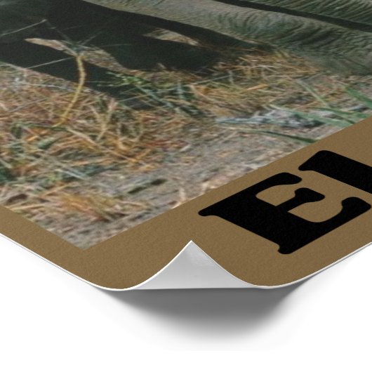 Die Elefanten gerettet Poster (Ecke)