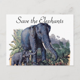 Die Elefanten gerettet Postkarte