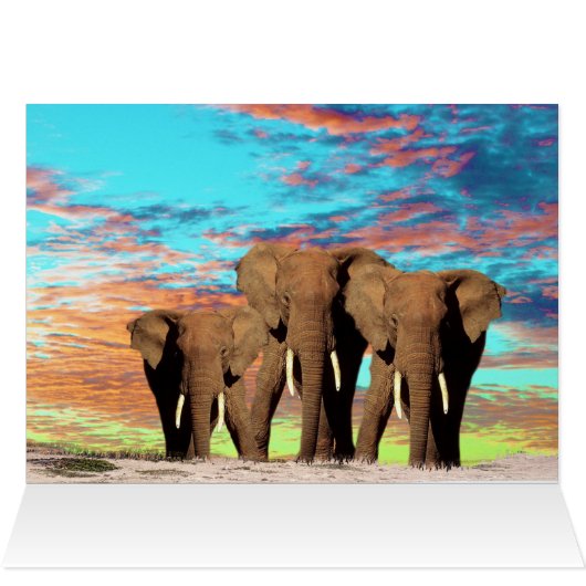 Die Elefantenbande, die Geburtskarte (Innenansicht Horizontal (Oben))