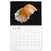 Die elegante Betta Kalender (Jan 2027)