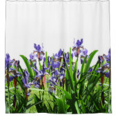 DIE ELEGANTE IRIS-BLUME DUSCHVORHANG (Vorderseite)