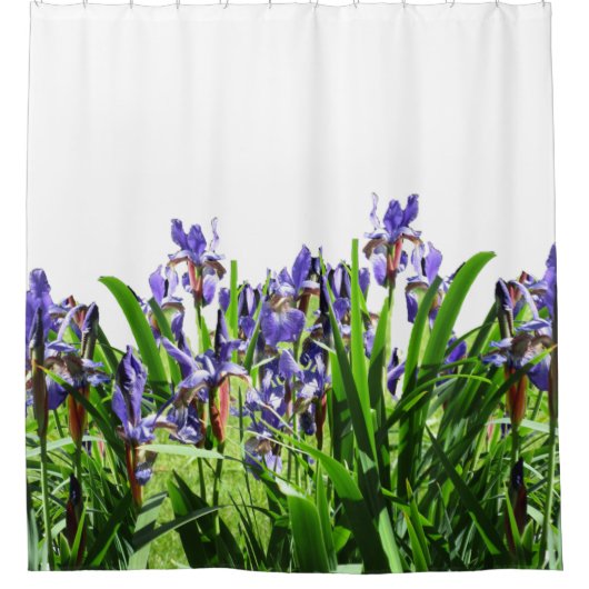 DIE ELEGANTE IRIS-BLUME DUSCHVORHANG (Vorderseite)