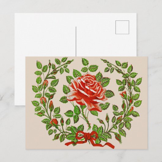 Die Eleganz der Blume der Sommermonate Postkarte (Vorne/Hinten)