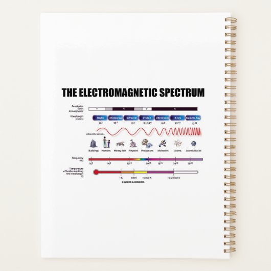 Die elektromagnetische Spektrumsphysik Planer (Rückseite)
