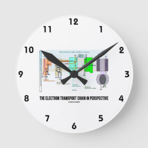 Die Elektronentransportkette in der Übersicht Runde Wanduhr