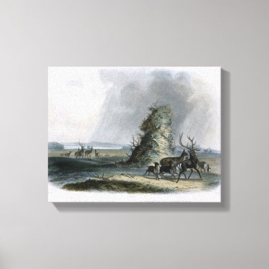 Die Elkhorn-Pyramide im oberen Missouri, Platte 2 Leinwanddruck (Vorderseite)