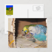 Die Eltern, die die Eltern anschließen Postkarte (Vorne/Hinten)