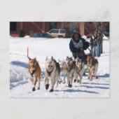 Die endgültige Postkarte (Vorderseite)