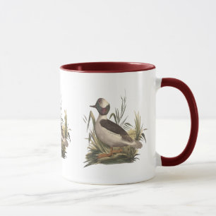 Die Ente mit Büffelkopf (Fuligula albeola) Tasse