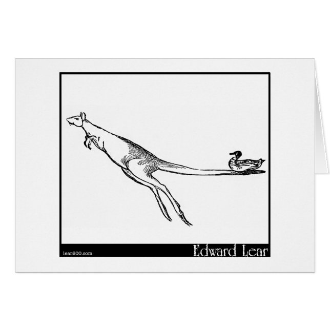 Die Ente und der Känguru (Vorderseite (Horizontal))