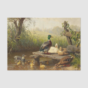 Die Enten am Teich von Carl Jutz Seidenpapier