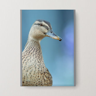 die Enten  Button