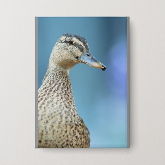die Enten Button (Vorderseite)
