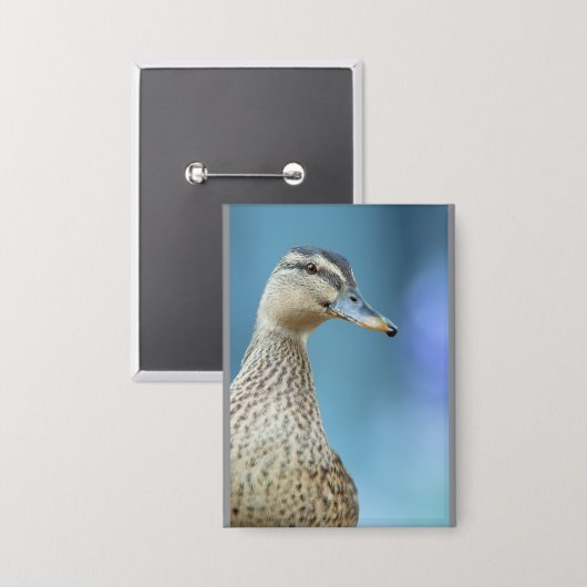 die Enten Button (Vorderseite/Rückseite)