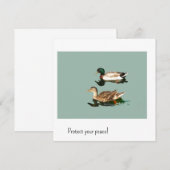 Die Enten. Schützen Sie Ihren Frieden (Vorne/Hinten)